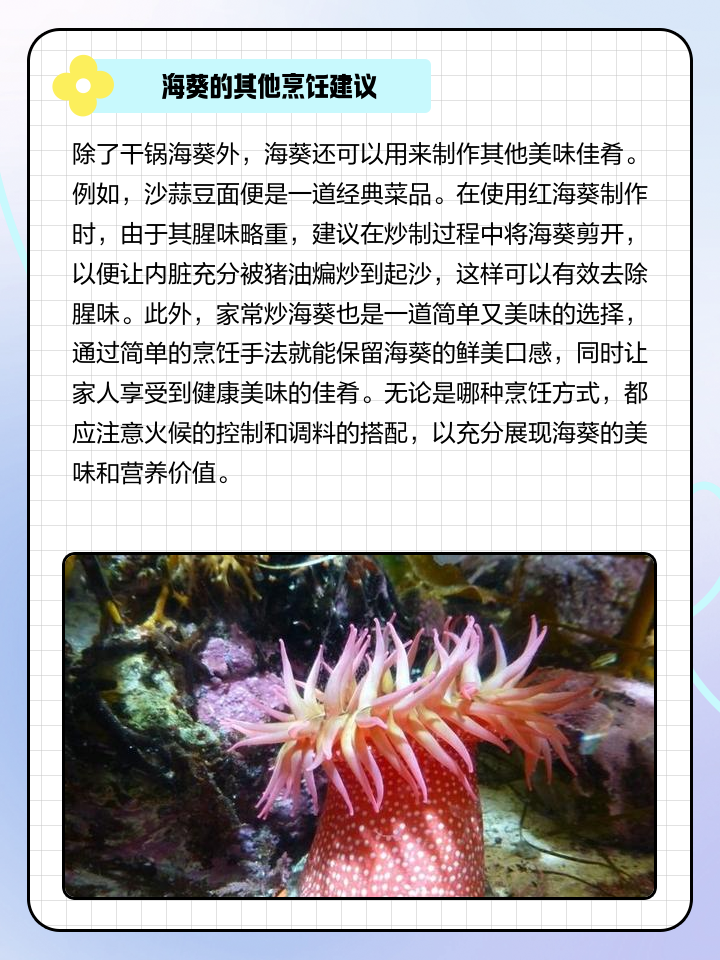 海葵怎么吃,海葵的10种吃法