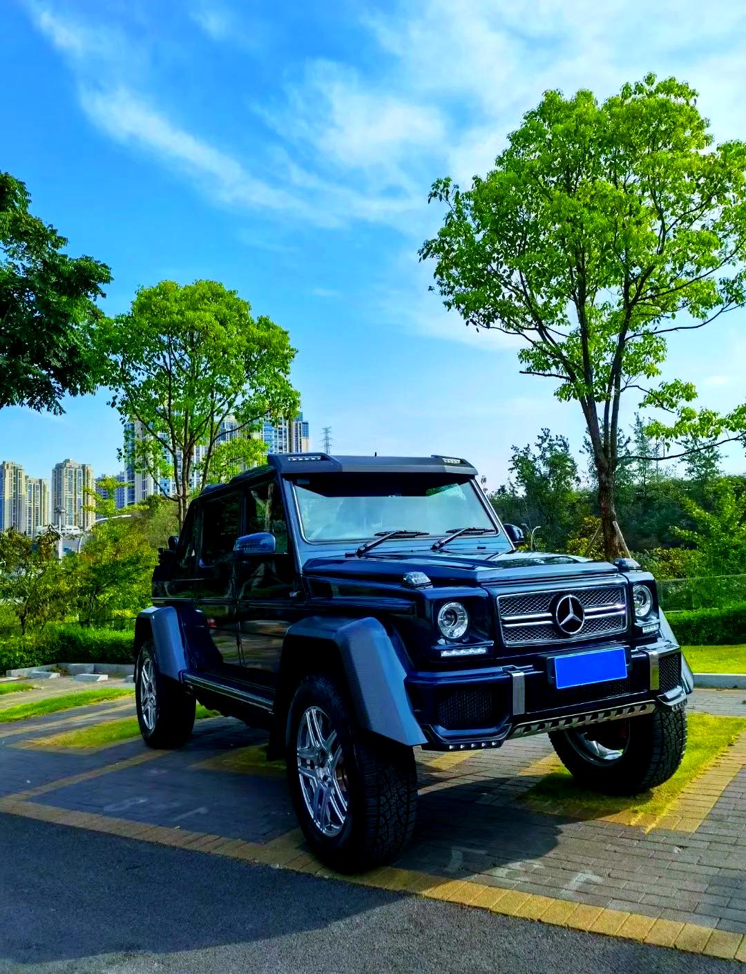 奔驰g65一般什么人开,2021款奔驰g65