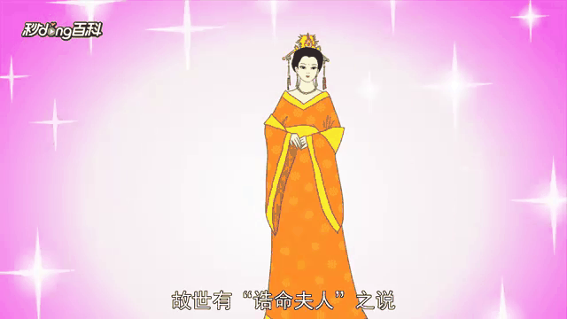 一品夫人,一品夫人是什么身份