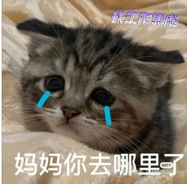 找不到了,找不到了怎么办