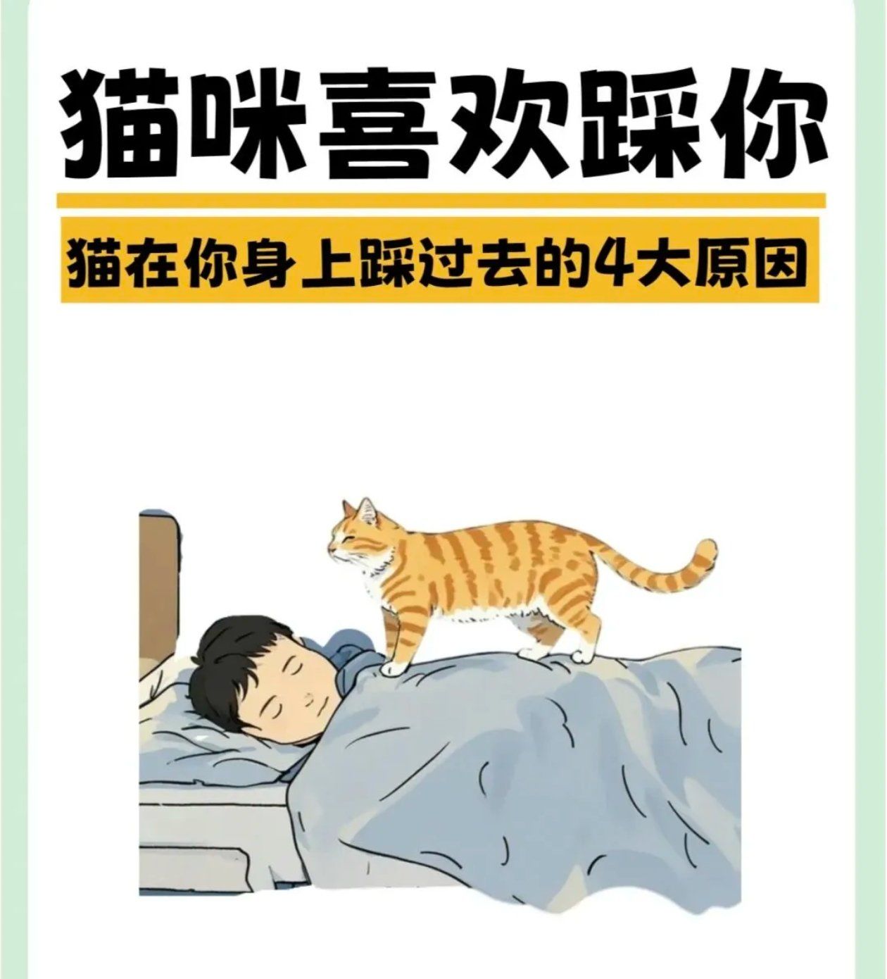 被猫喜欢预示着什么,流浪猫缠着你预示着什么