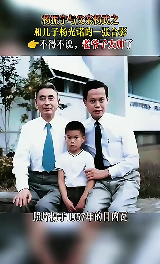 杨光诺,杨振宁和翁帆相差几岁