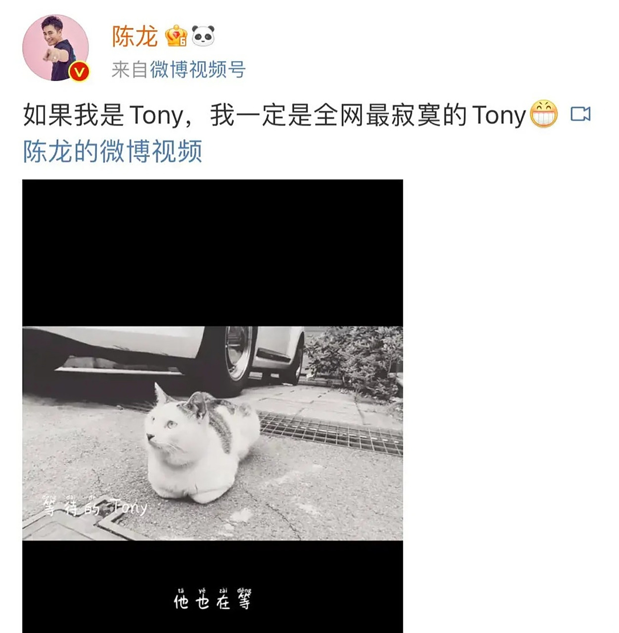 陈龙微博,符龙飞微博新浪微博