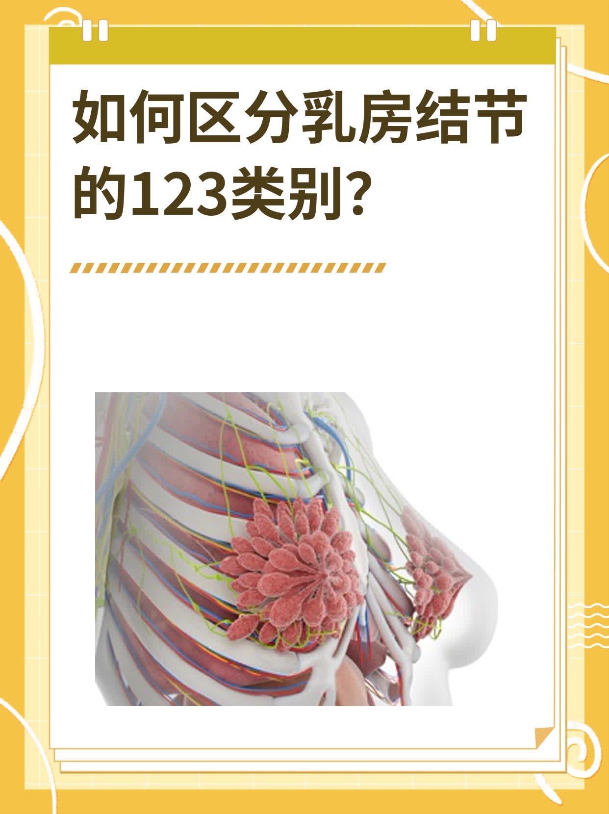 乳腺结节图片,狗狗乳腺结节图片