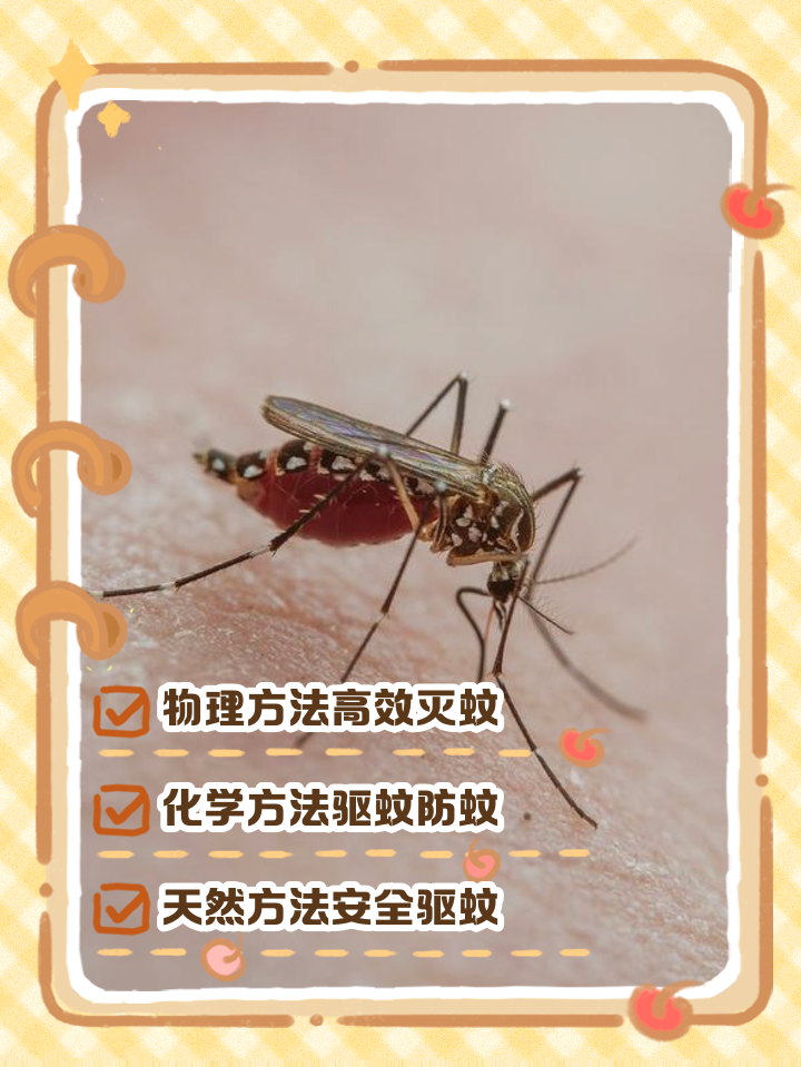 怎么杀蚊子最有效,有什么方法杀蚊子比较有效果