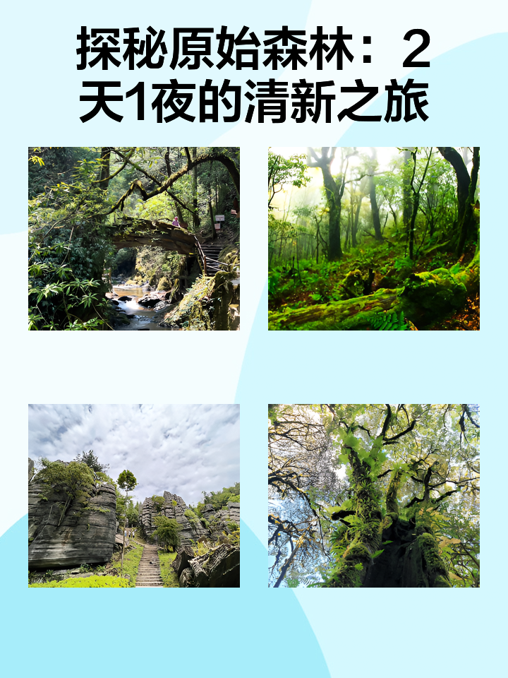 森林2,森林2作弊码