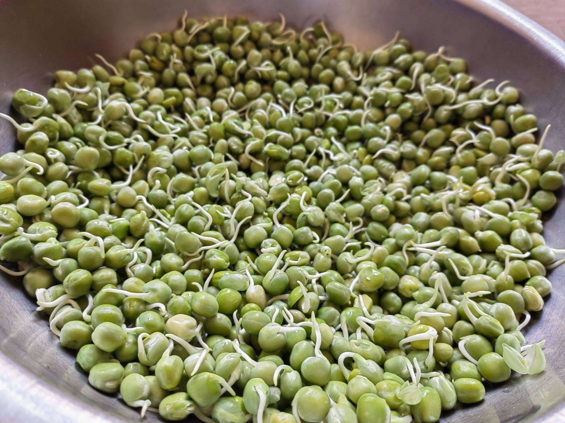 豌豆仁放冰箱发芽,豌豆放在土里一般几天发芽