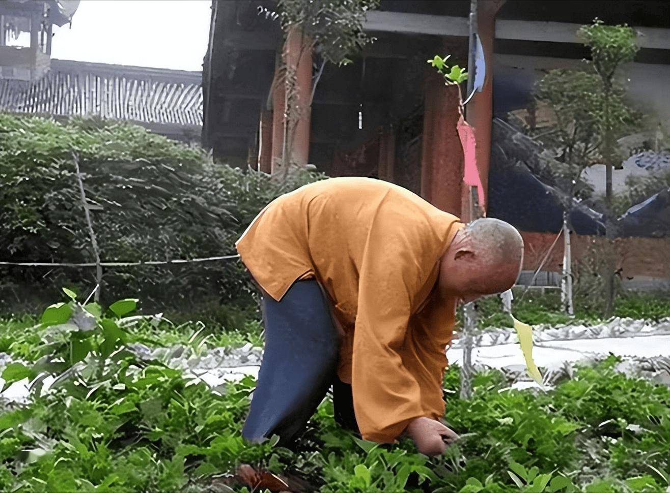 想出家当和尚去哪里,想出家当和尚怎么联系