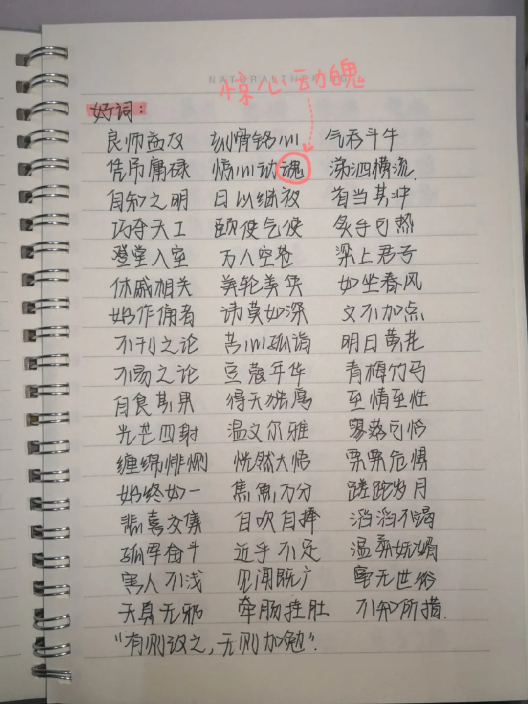 傅雷家书好段,傅雷家书好段500字