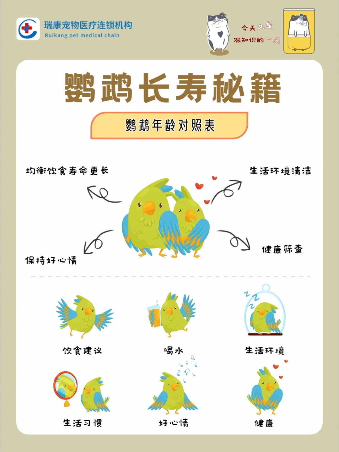 鹦鹉的寿命,鹦鹉的寿命是多少年