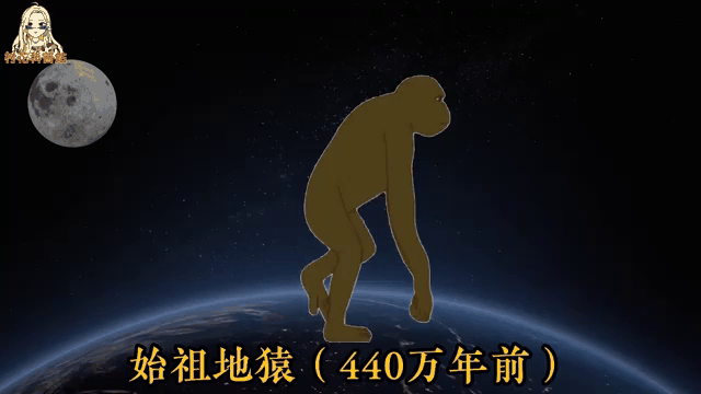 人类进化过程,人类的起源的演化过程