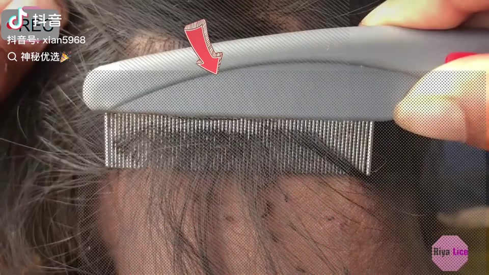 屑是什么梗,屑是意思