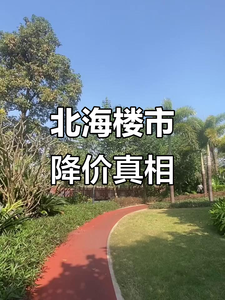 北海房价2020年预测,北海真实房价