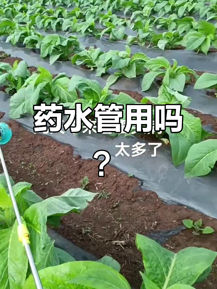 药水,药水点痣