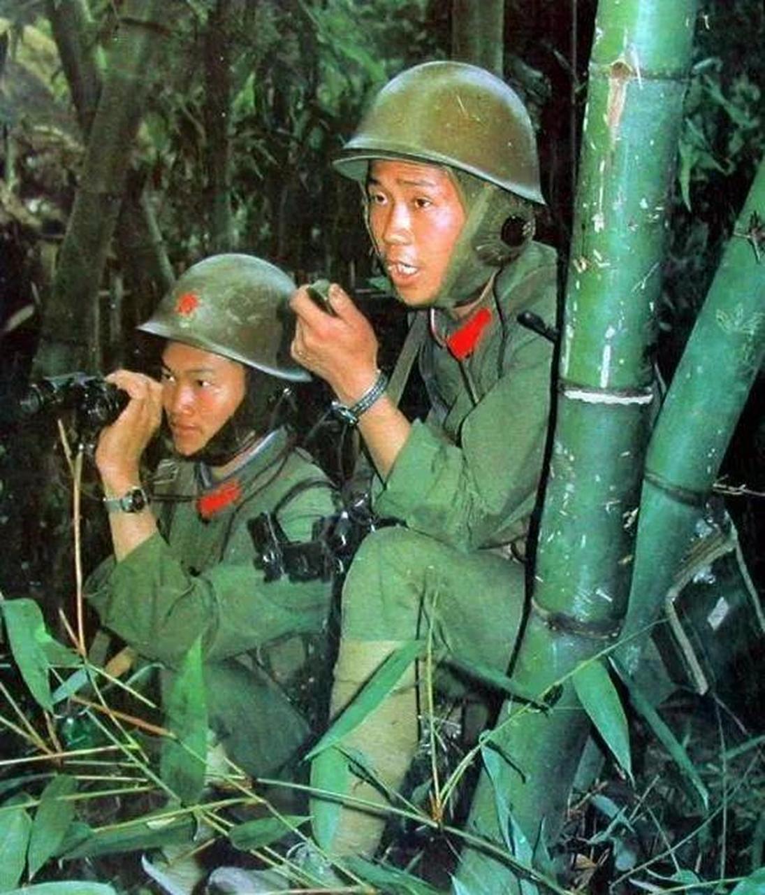 真实的对越自卫反击战,对越自卫反击战残酷