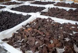 精日份子,精日份子是什么意思