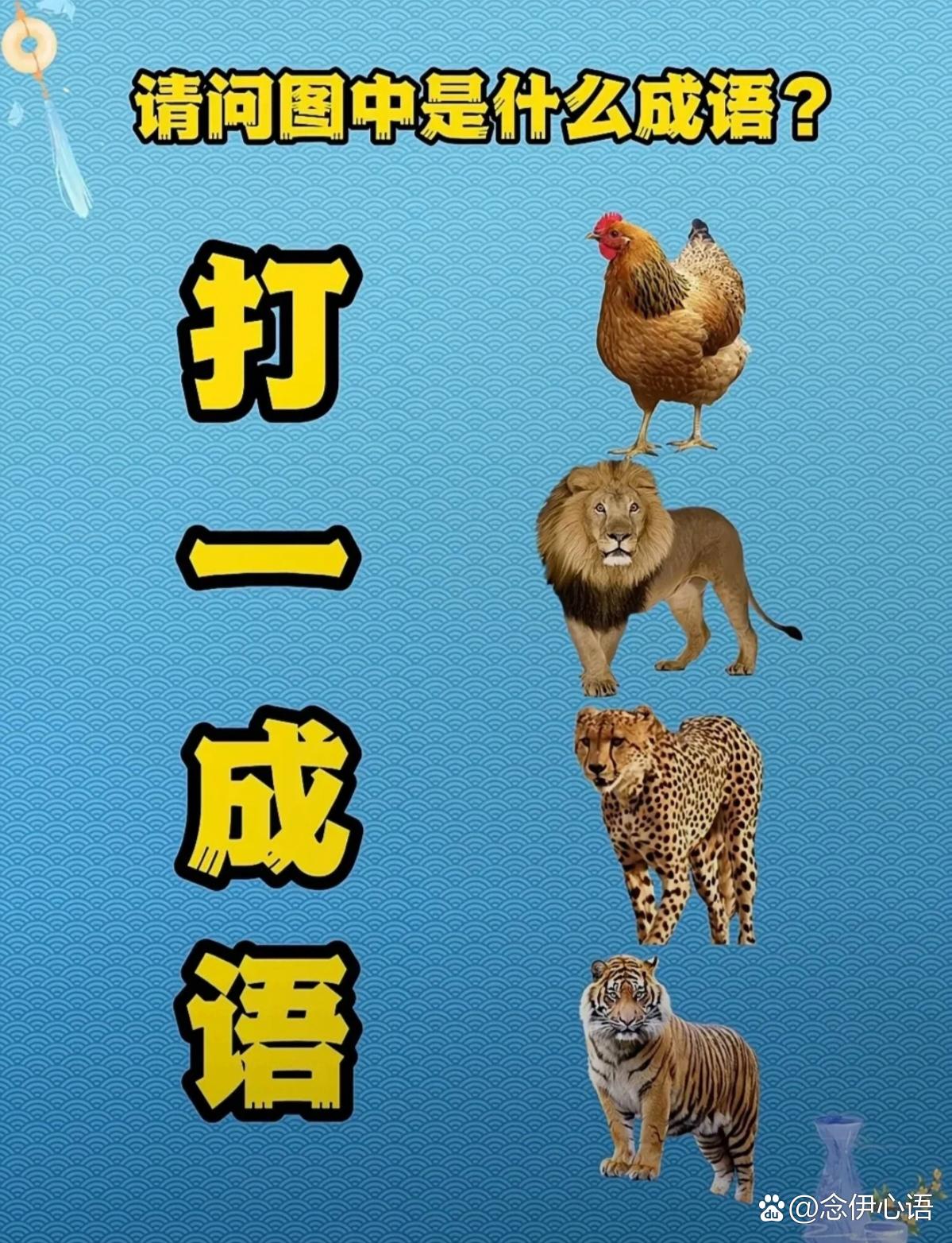 看图猜成语一龙一虎,疯狂猜成语龙虎