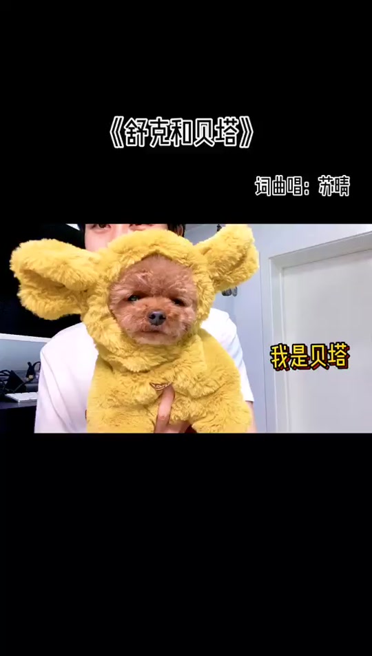 舒克和贝塔歌词,舒克和贝塔歌词完整版