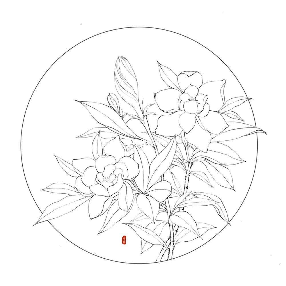 栀子花简笔画,栀子花简笔画彩铅