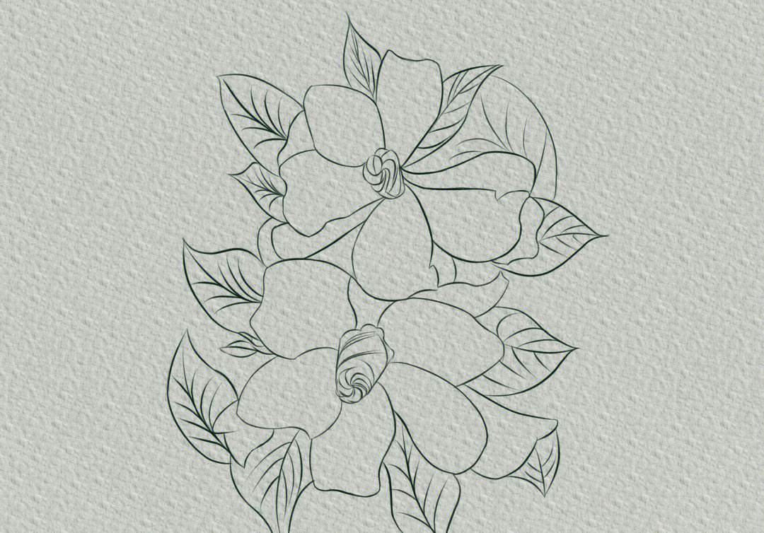 栀子花简笔画,栀子花简笔画彩铅