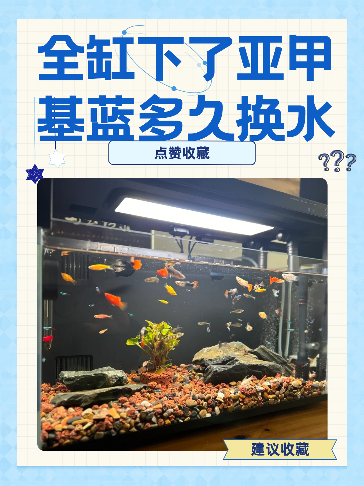 甲基蓝对鱼的正确用法,鱼没病可以放亚甲基蓝吗