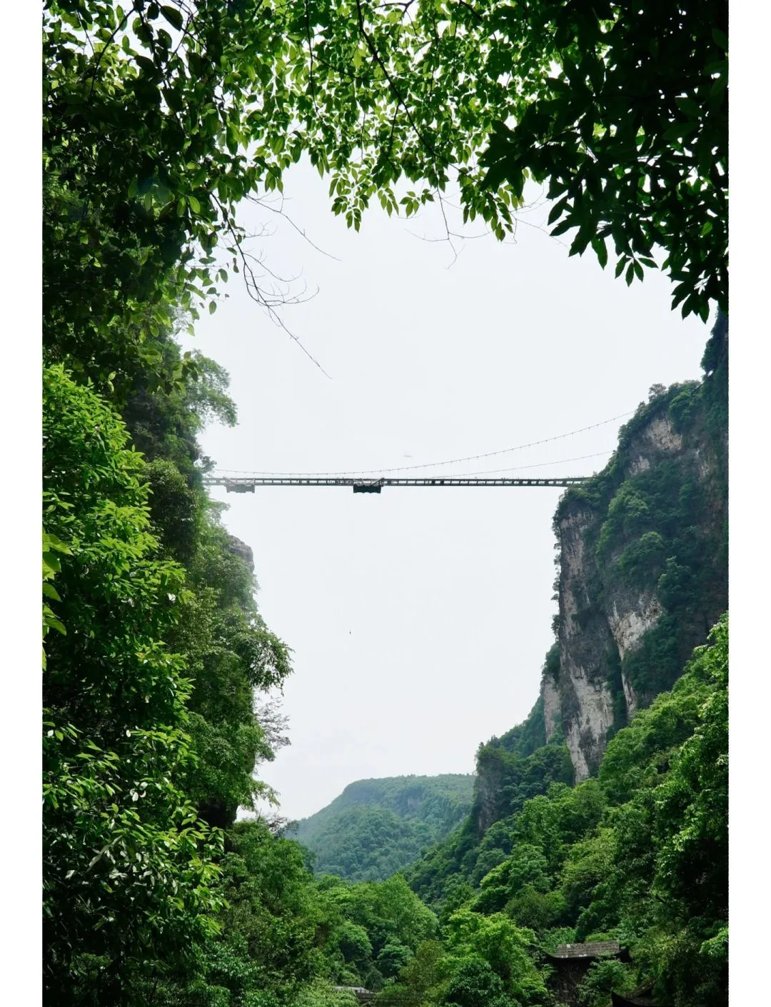 张家界大峡谷,张家界大峡谷和天门山是一个景区吗