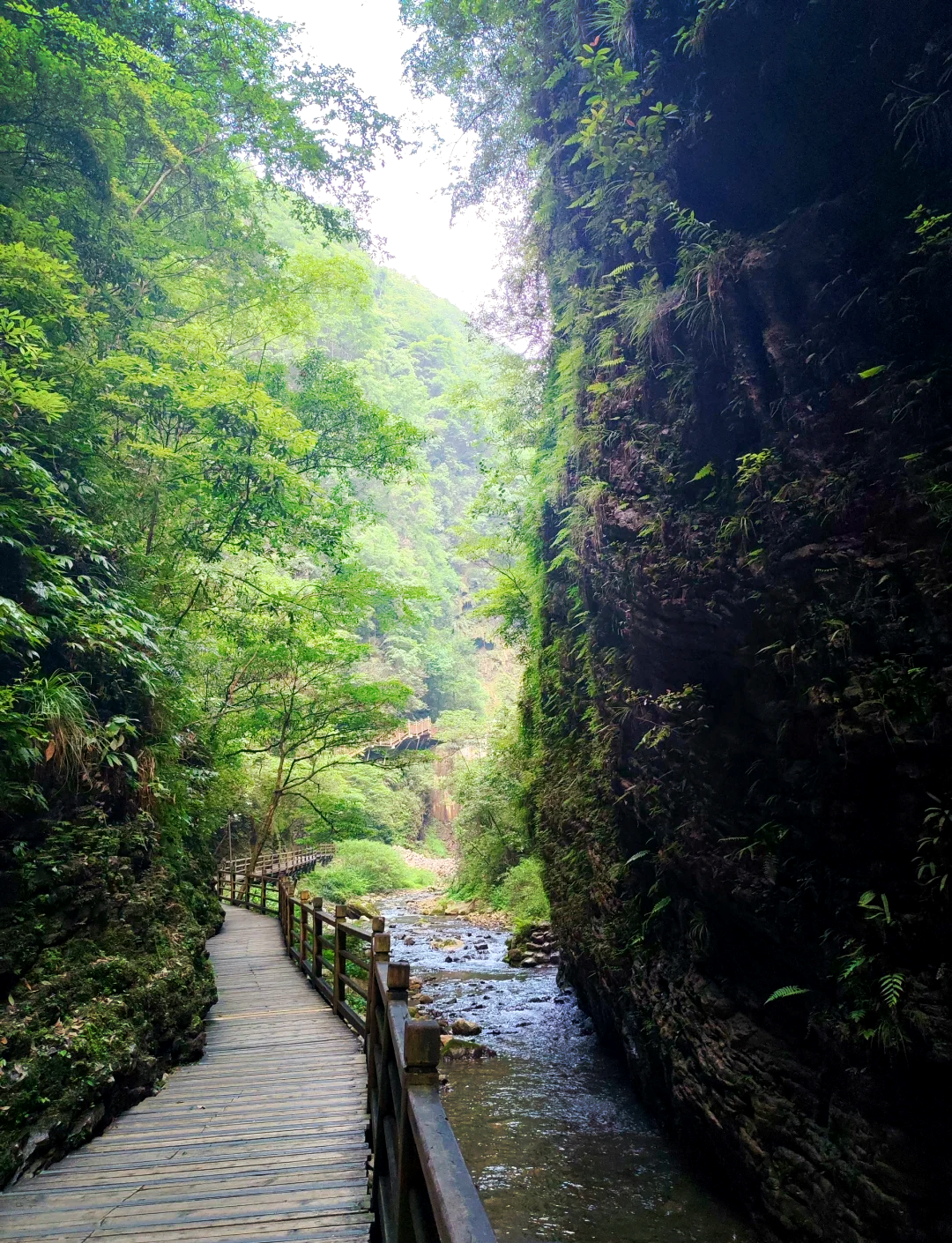 张家界大峡谷,张家界大峡谷和天门山是一个景区吗