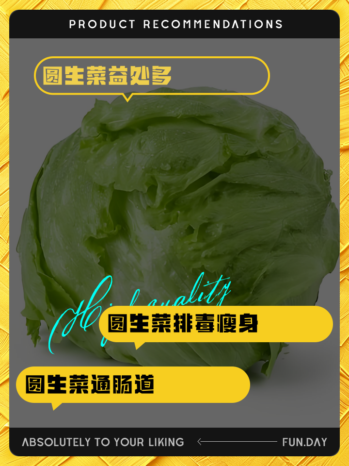 圆生菜,圆生菜的做法