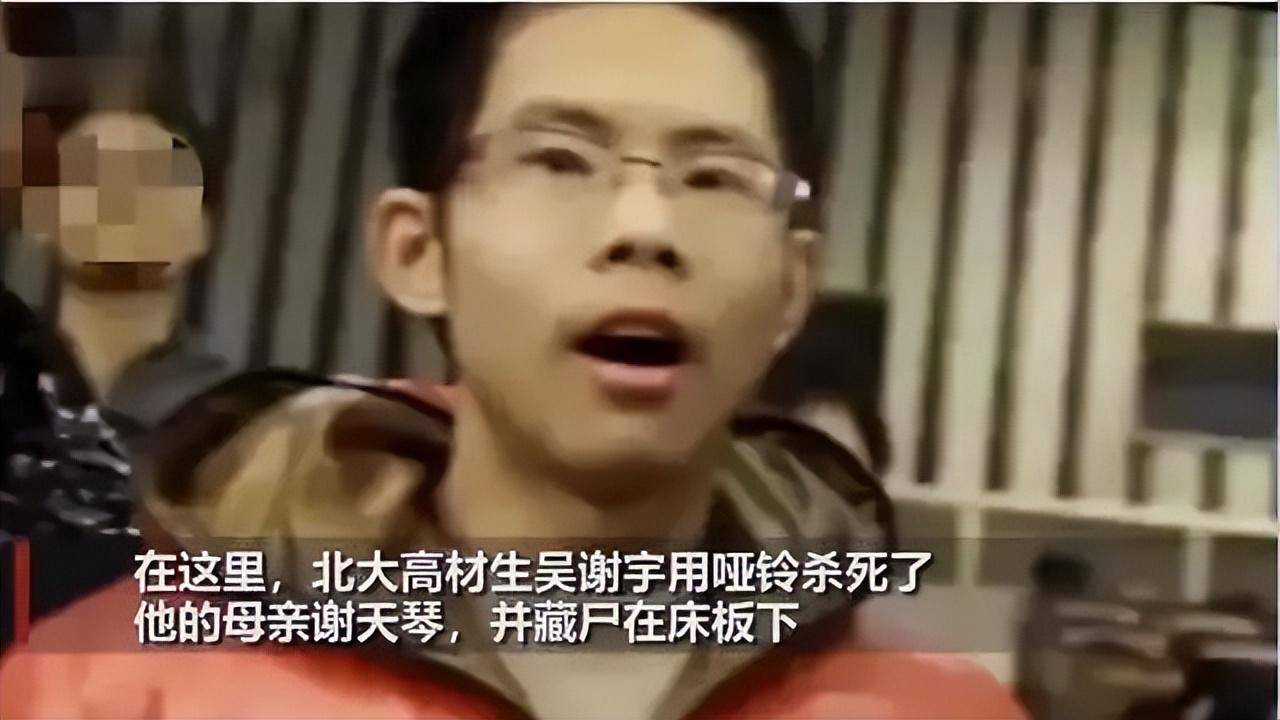 包含吴谢宇案完整经过的词条
