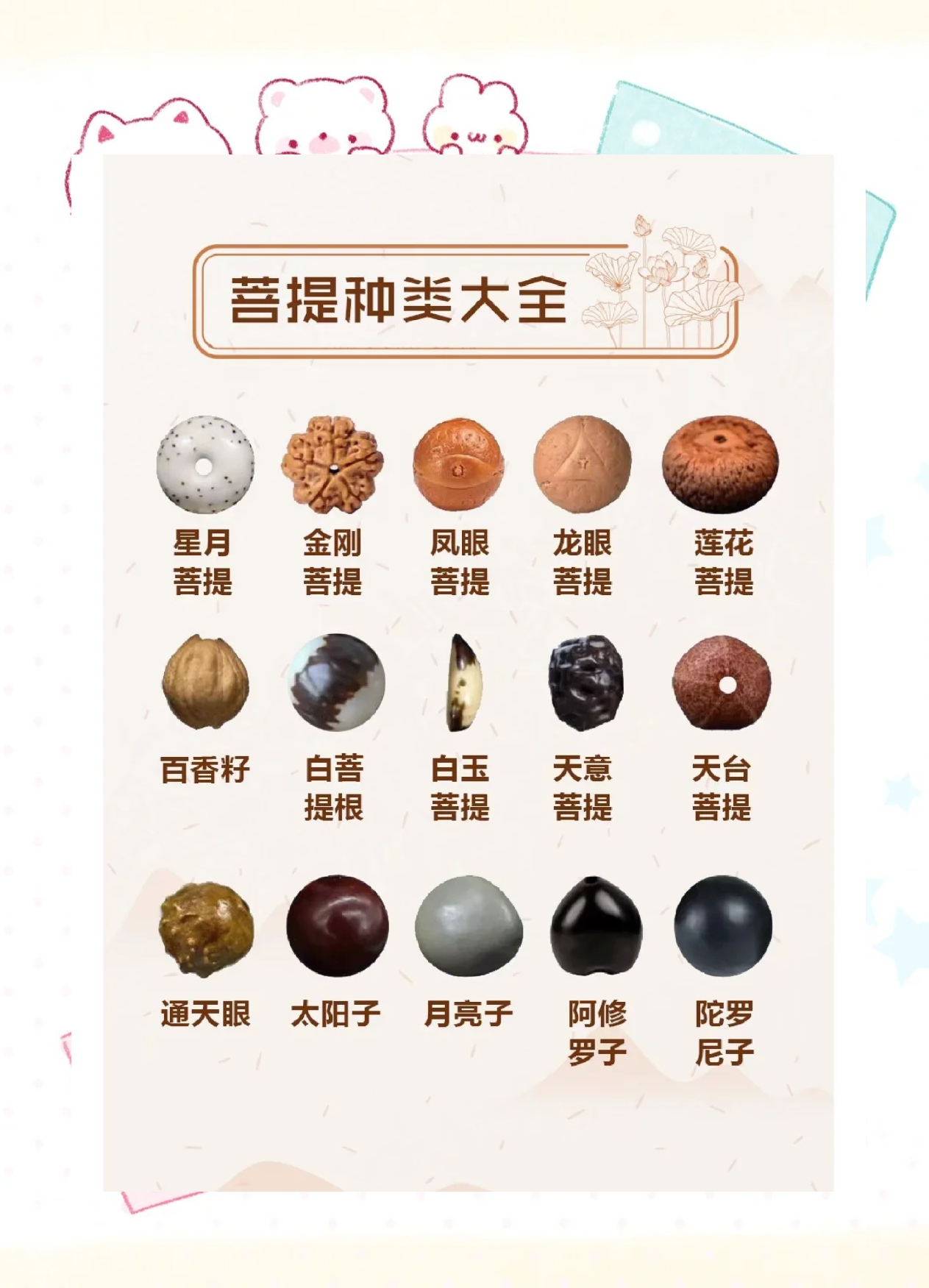 菩提是什么,菩提是什么树