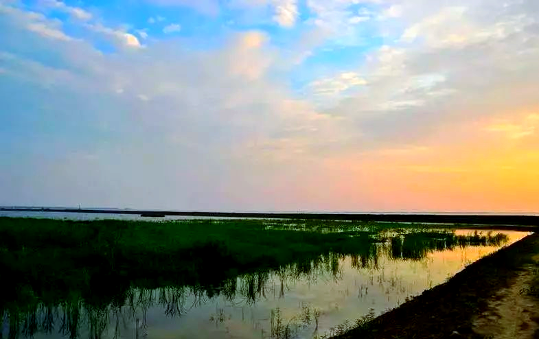 长荡湖,长荡湖马拉松2025