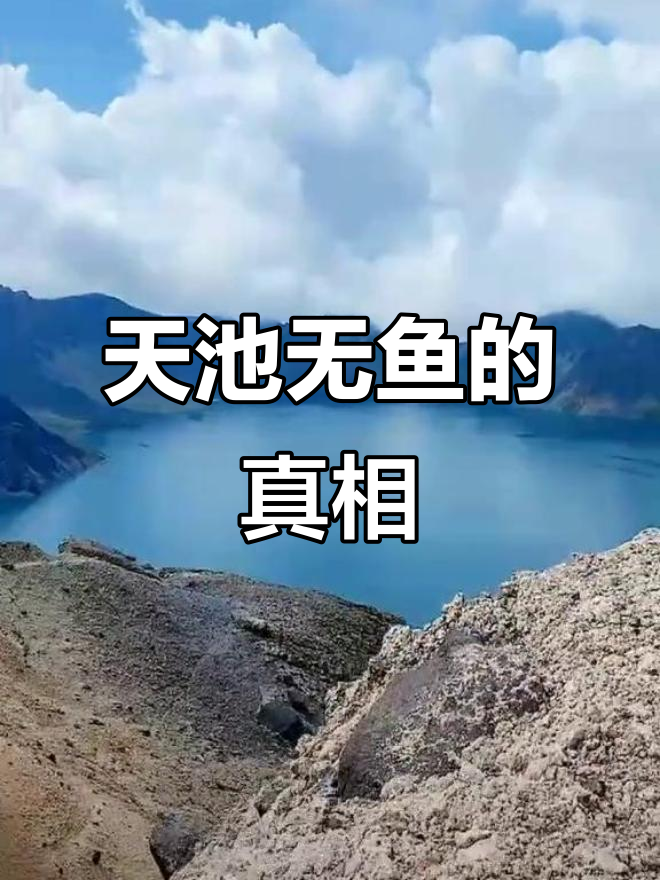 长白山天池有鱼吗,长白山天池有鱼吗,好吃么