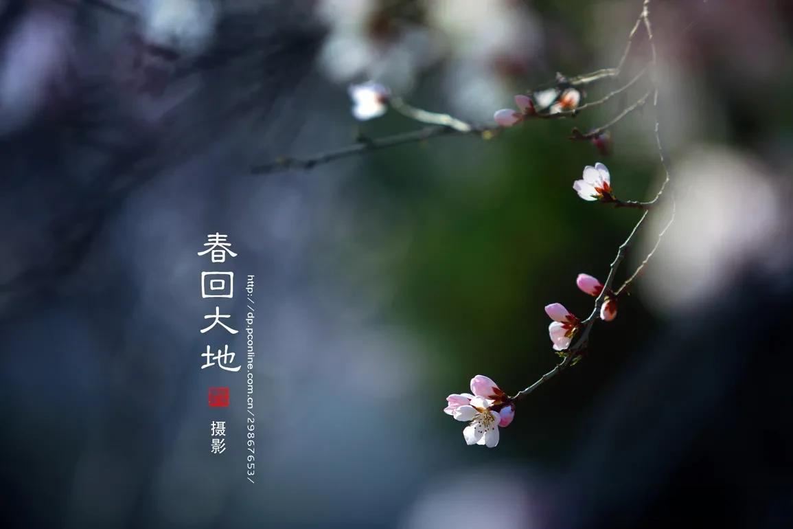 春回大地千山秀下一句,春回大地千山秀横批句是什么
