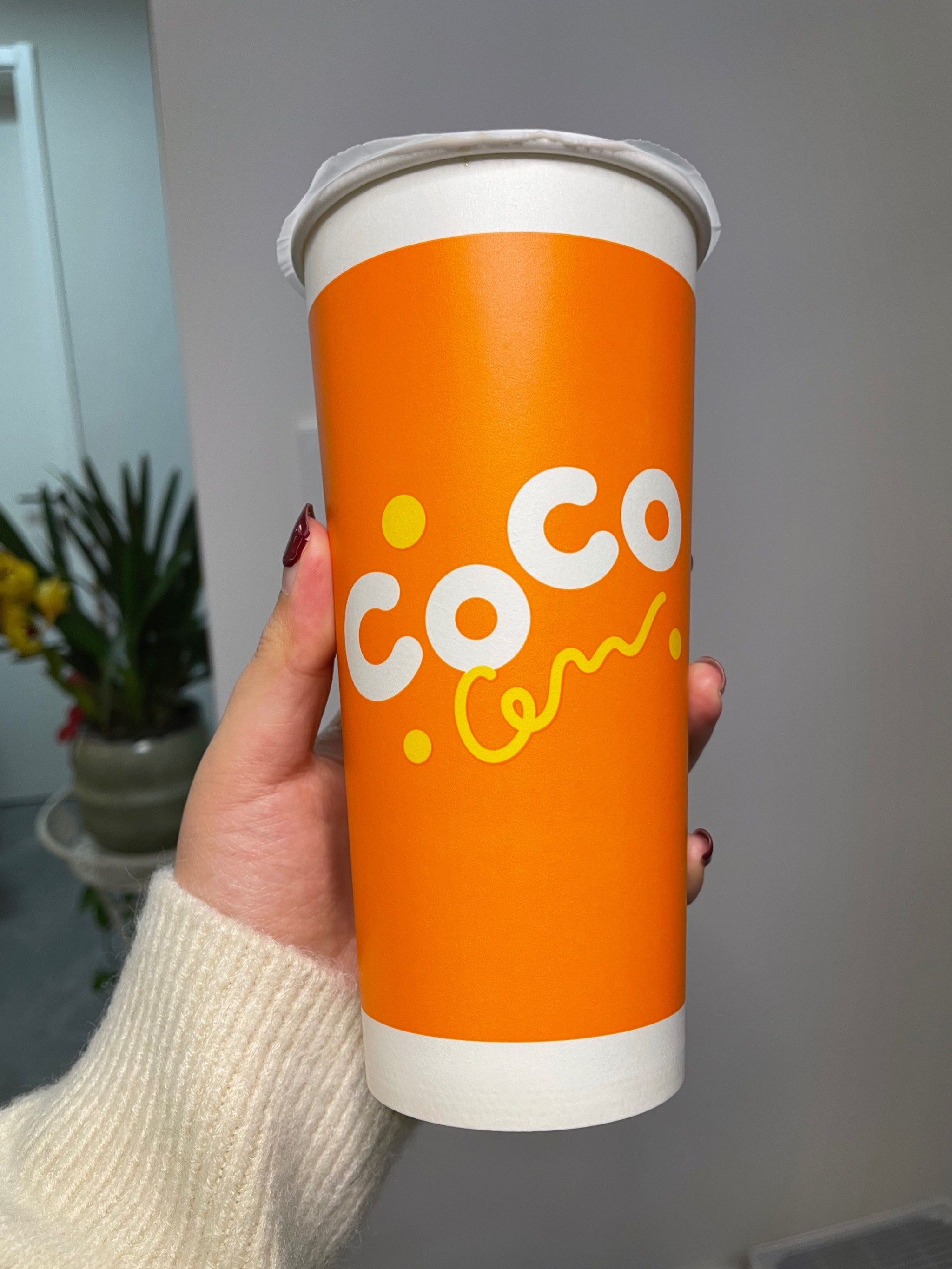 coco是哪里的,coco是什么牌子?总部地址在什么地方?