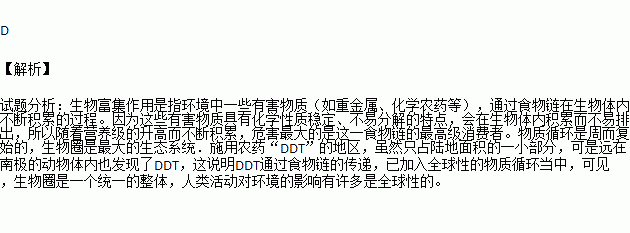 ddt系列,ddt系列作品顺序