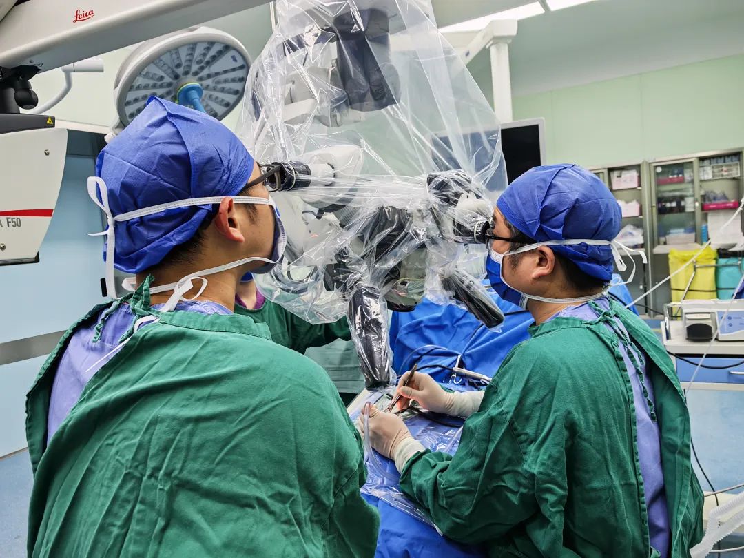 国家免费人工耳蜗项目,国家免费人工耳蜗项目如何申请