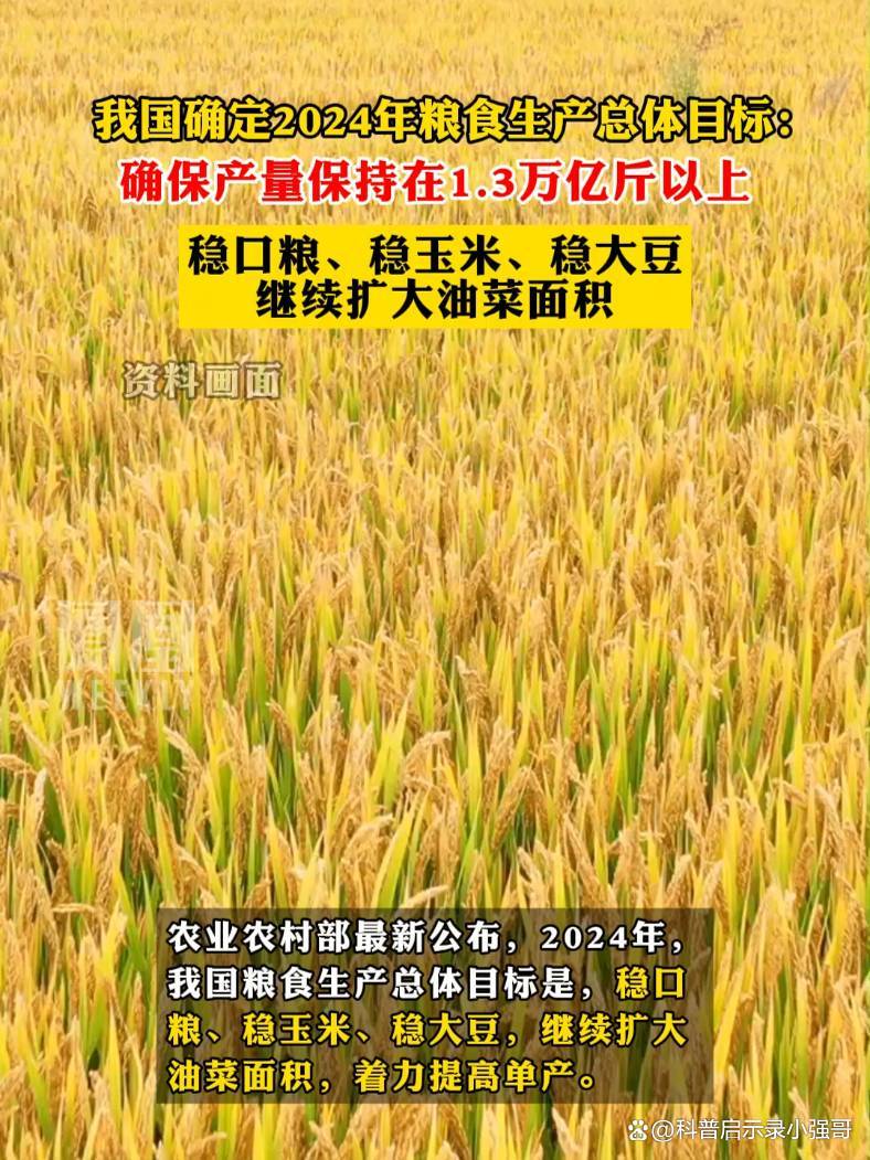 中国粮食危机,我国粮食危机及资料