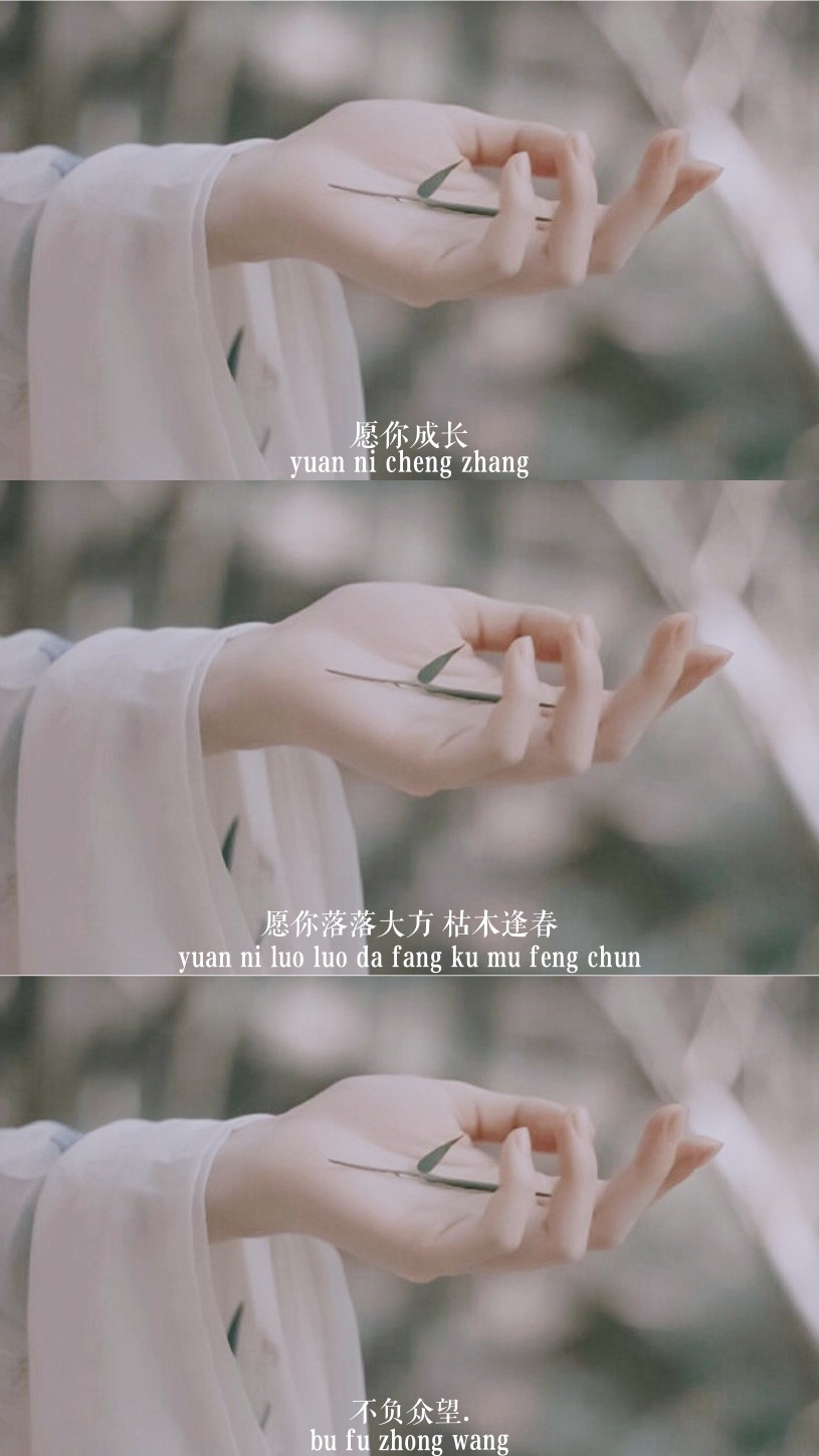 三屏壁纸,刘浩存三屏壁纸