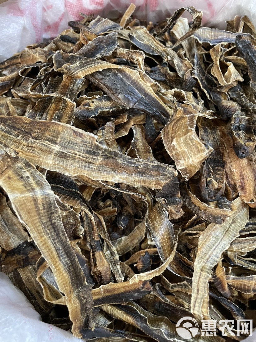 广地龙,广地龙是什么