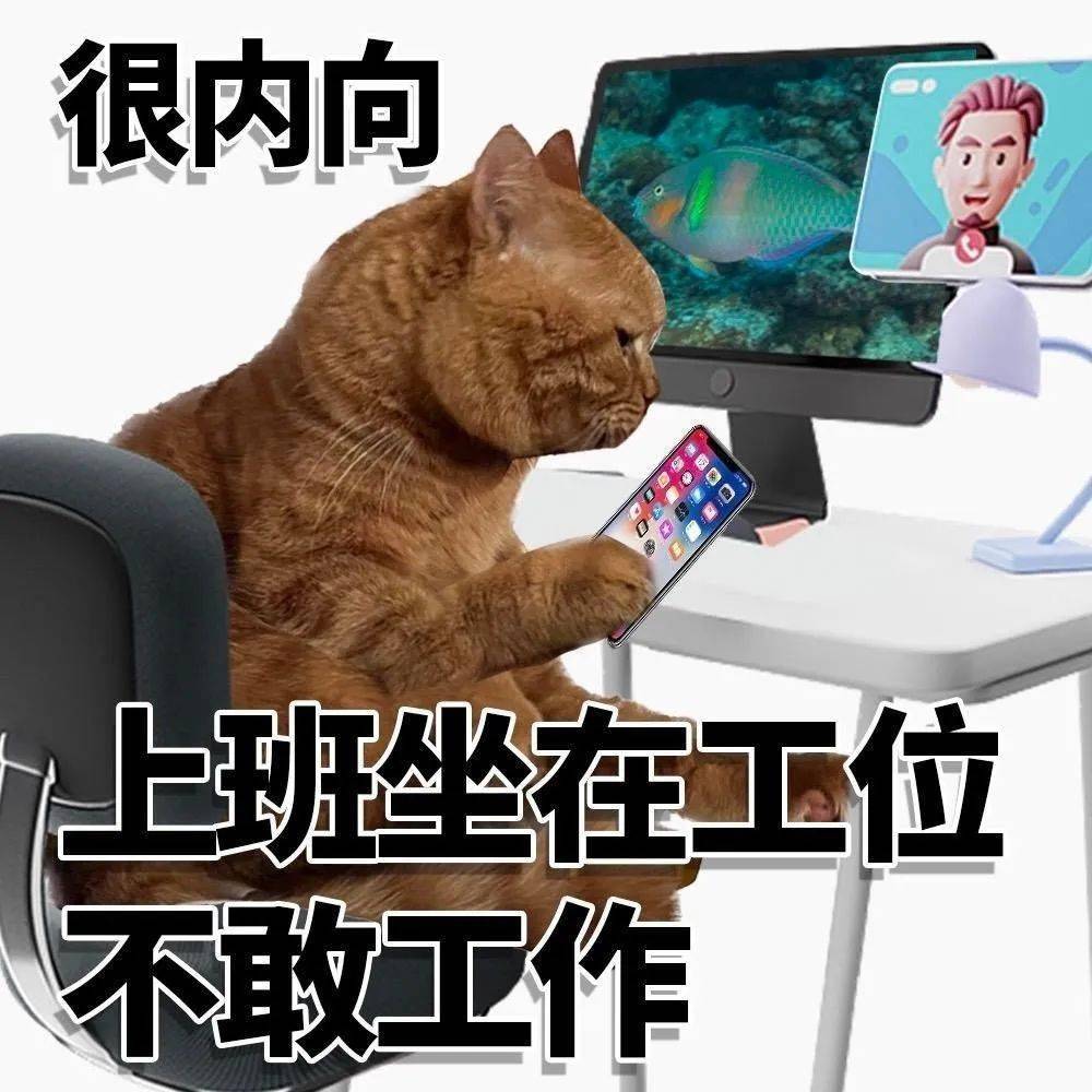 男生太内向做什么工作,内向的男人做什么工作