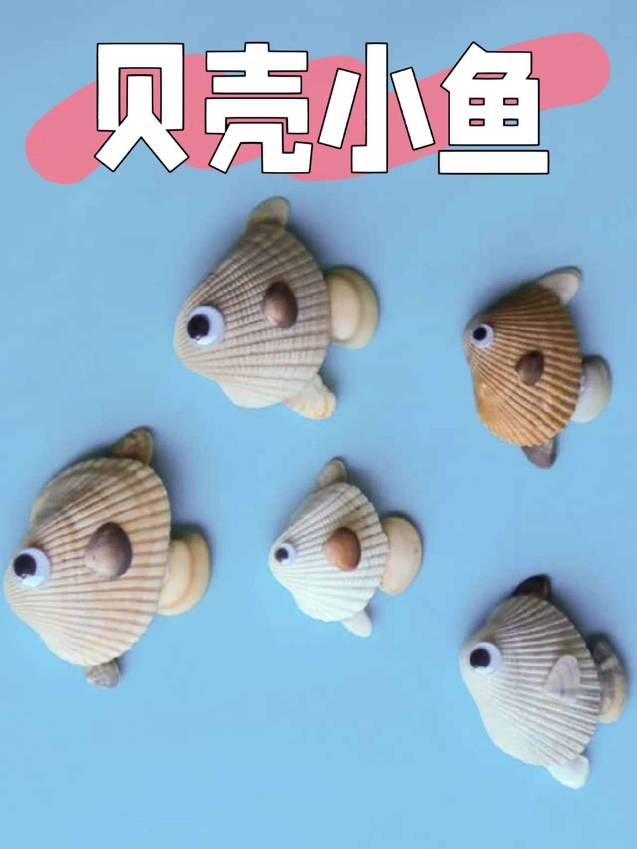 用贝壳做小制作图片,用贝壳做的手工图片小学生