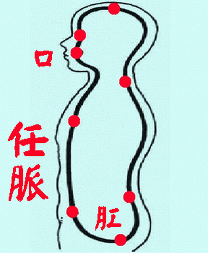 小周天运行路线侧面图,小周天运行路线及起止时间