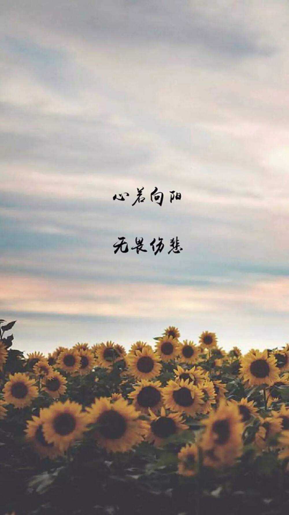 心若向阳无谓悲伤,心若向阳无谓悲伤图片 壁纸