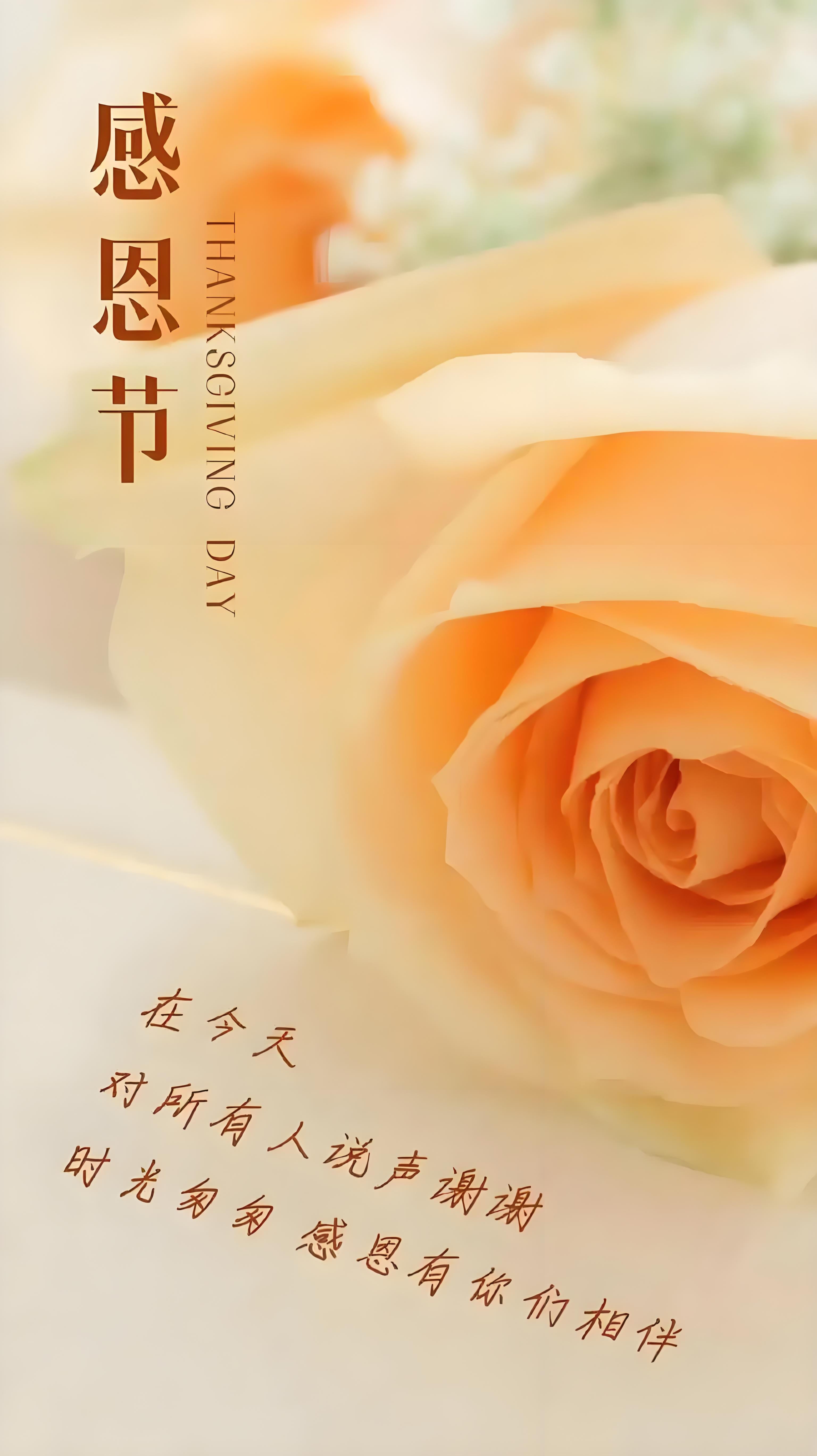 感恩节那天,感恩节那天应该做点什么