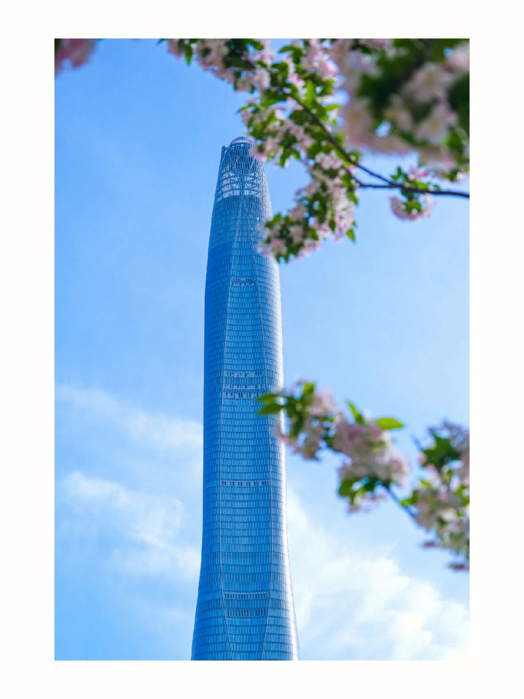 津沽棒,津沽棒世界第几高楼