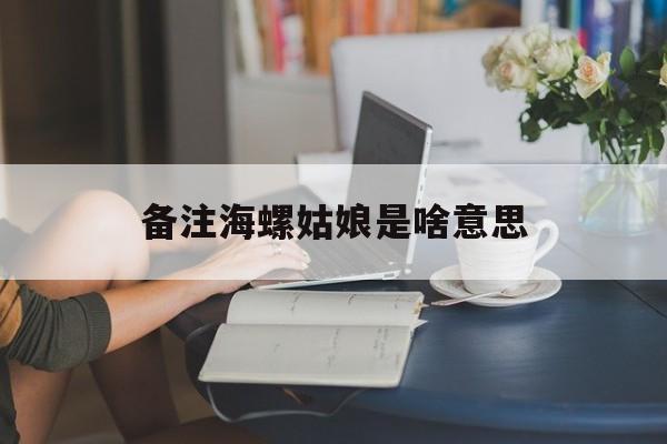 备注海螺姑娘是啥意思,备注海螺姑娘是啥意思啊